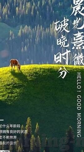 2016游泳世界杯-2016年游泳世界杯，速度与激情的盛宴