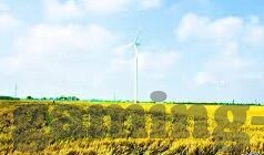 20210百家乐下载庄和闲-2021年百家乐下载，庄与闲的博弈艺术